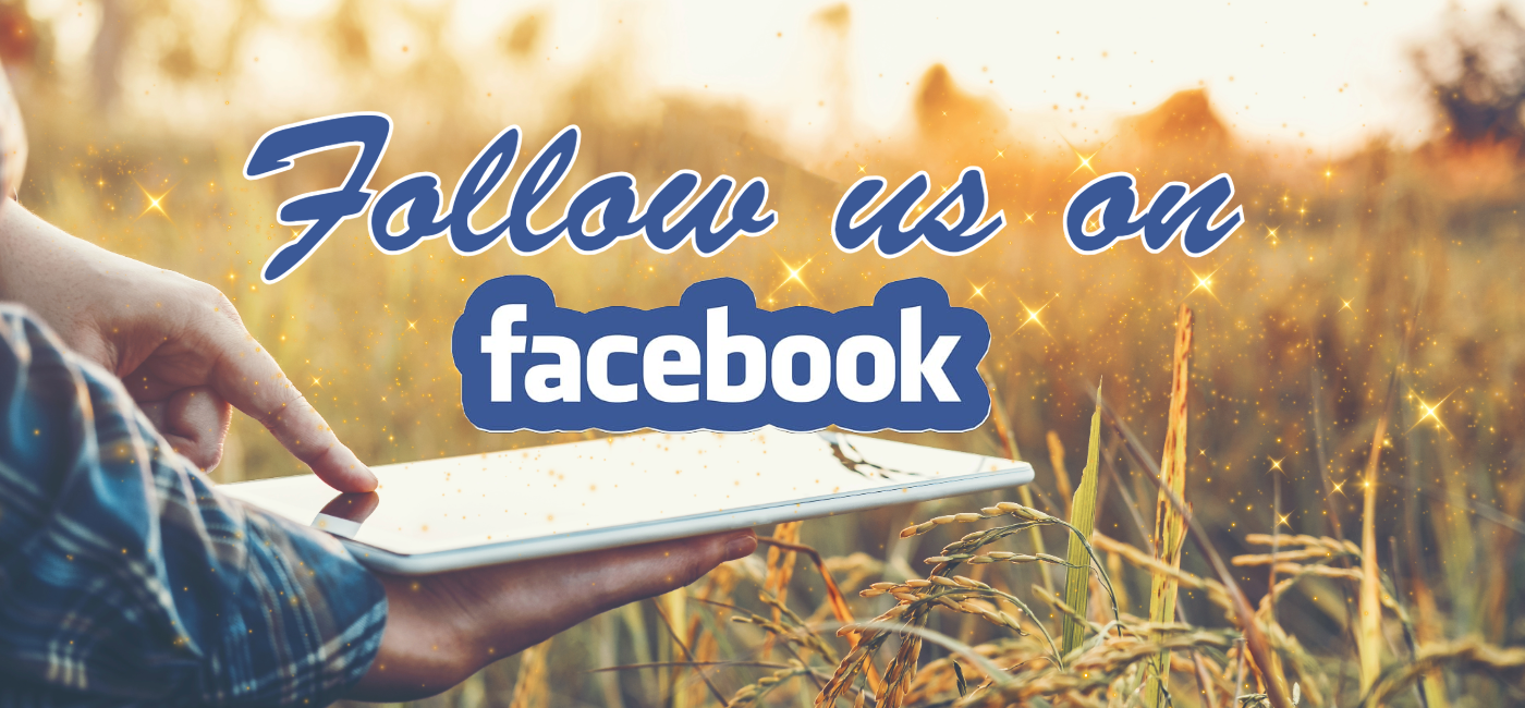 Follow Us On Facebook!