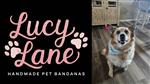 Lucy Lane